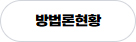 버튼